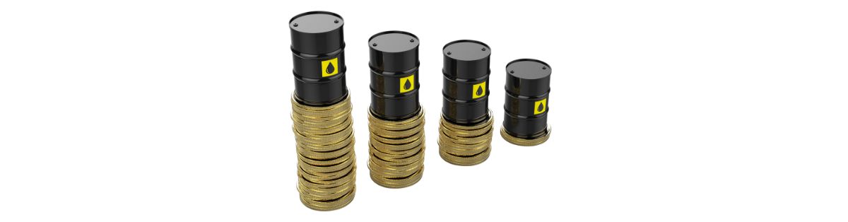 Consequences of Low Oil Prices in Drilling Economics