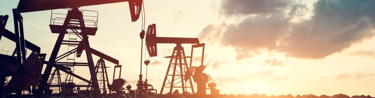 Oil Drilling Project Management