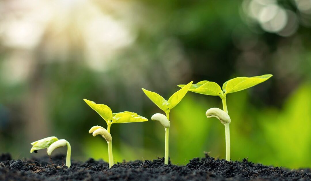 Environmental Stewardship in Oil Drilling Powerful Impact